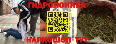 мяу мяу мука Ирбит