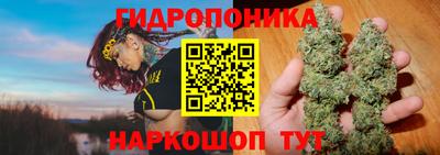 мяу мяу мука Ирбит