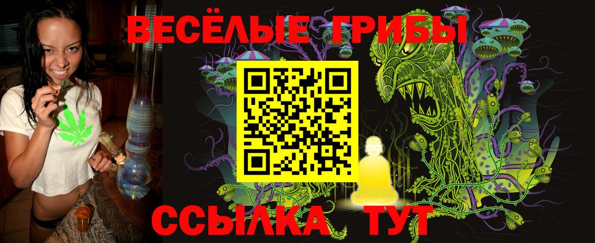 Галлюциногенные грибы мухоморы  Вход с VPN  Луховицы 