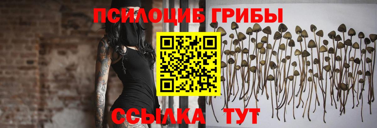 Псилоцибиновые грибы мухоморы Луховицы
